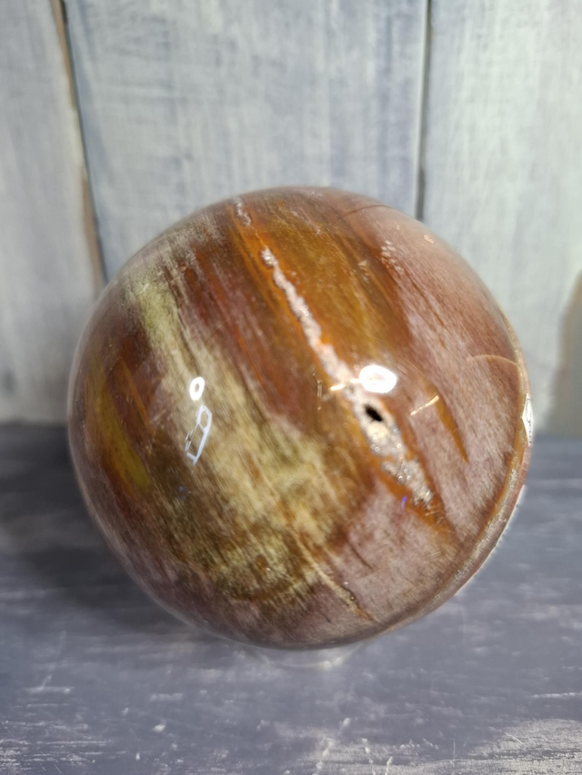 Petrified Wood Sphere
