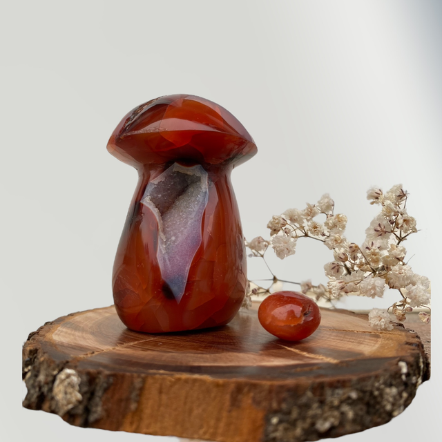 Champignon en Cornaline 