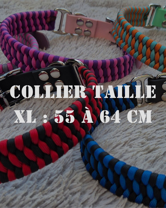 4 - Collier taille XL