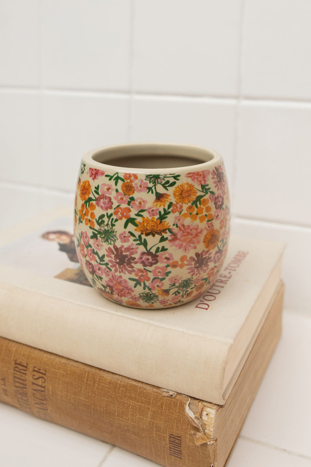 Floral Vintage 💮 Cache-pot + Peperomia