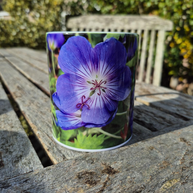 Geranium Rozanne mug
