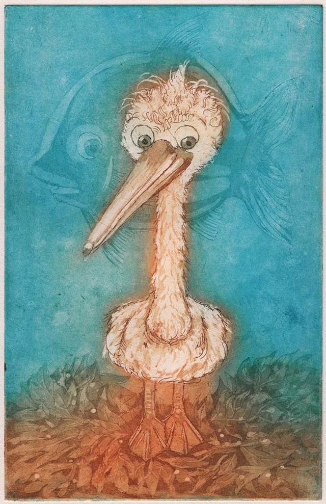Radierung "Der schlaue Pelikan" / Etching "The Smart Pelican"
