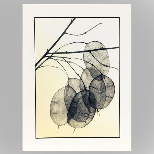  'Honesty ll'  cards  x 3