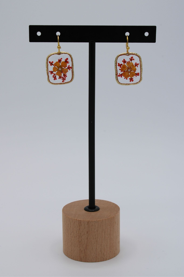 BO "Jardin suspendu"