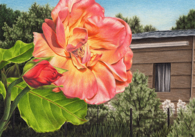 Au Jardin, Jardins familiaux