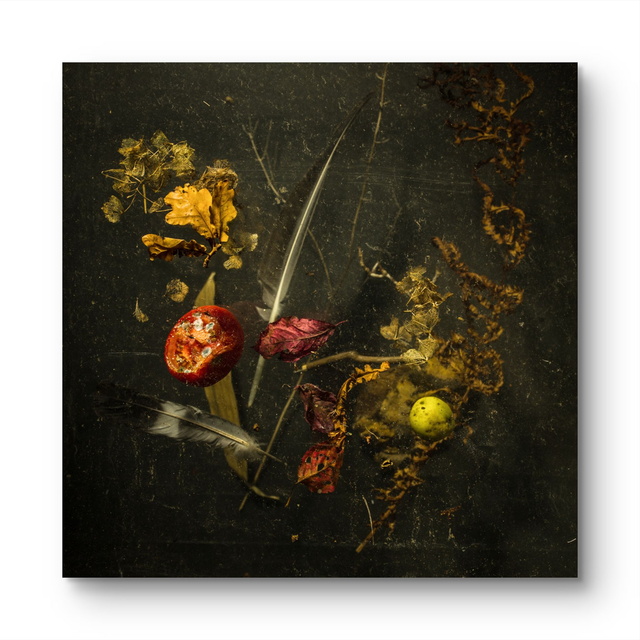 THE-MOLD-SHIELD  FINE ART PRINT ON ACRYL 60X60CM   