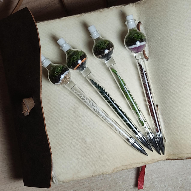 Crayon Éternel Terrarium