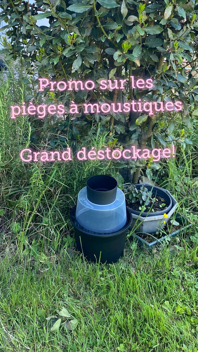 Piège pondoir Biogents BG-Gat 2