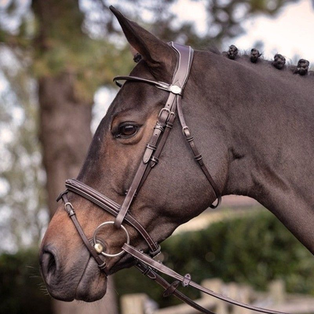 Bridon JUMP'IN Wednesday muserolle combinée