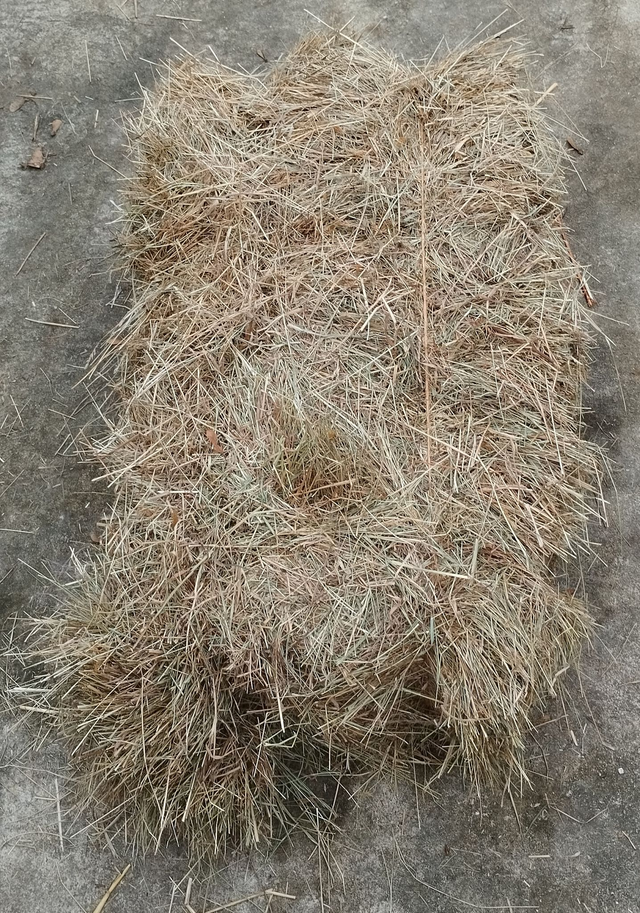 Foin naturel – Alimentation &amp; Litière