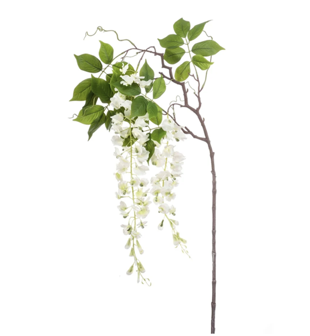Wisteria branch white 