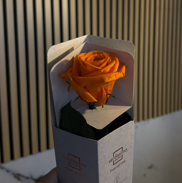 Rose éternelle en tige 