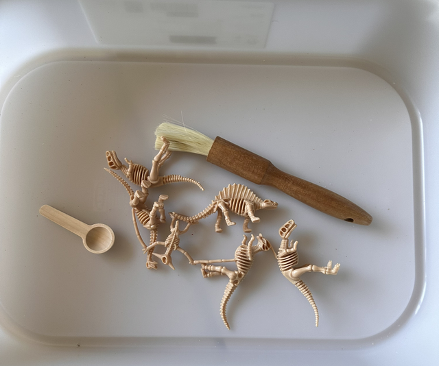 Fossielen sensorische box 