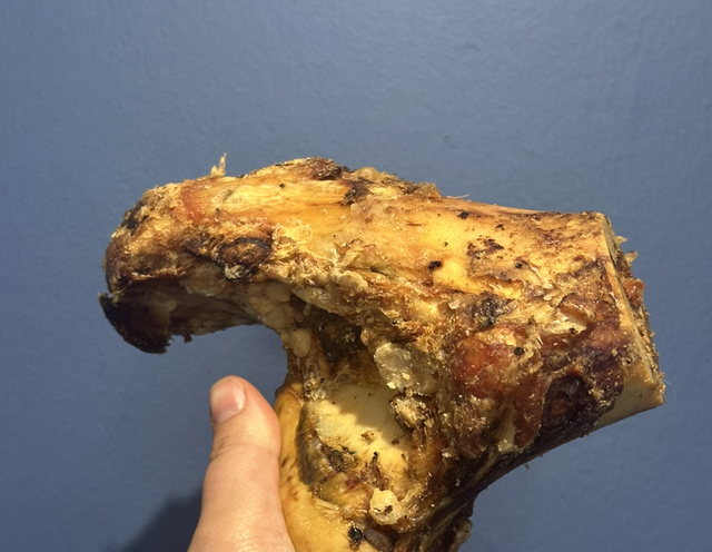 Beef Knuckle Bone 