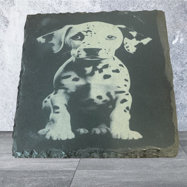 Slate Coaster - Dalmation Puppy