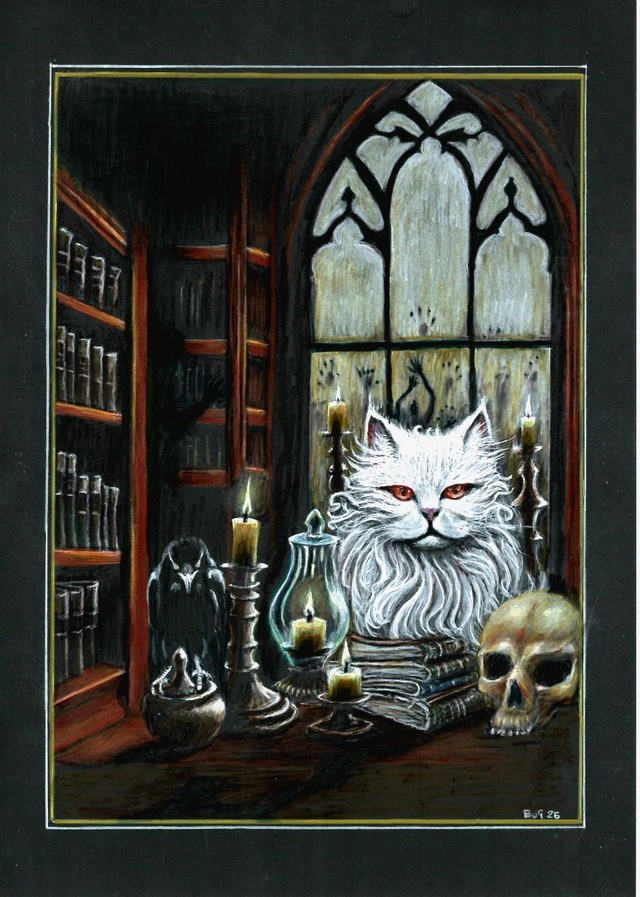 The Cats secret In A Library Of Shadows