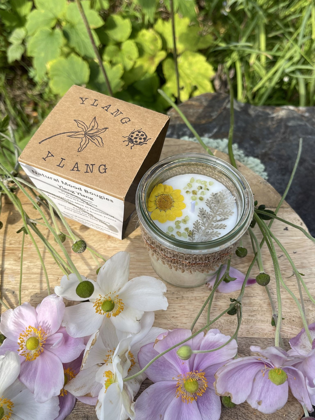 Ylang Ylang