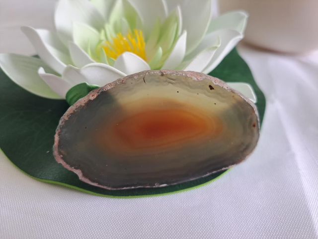 Petite tranche d'agate 