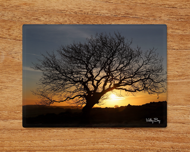"Tree at Sunrise" Glass Worktop Saver 
