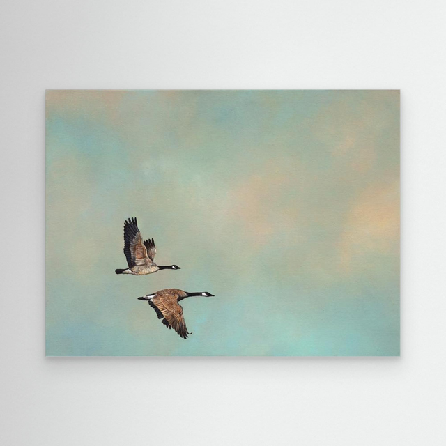 Sacrosanct - (Canada Geese)