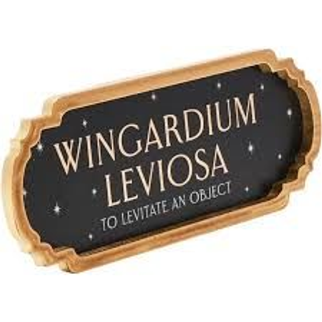 PLAQUE WINGARDIUM PETITE DE WARNER BROS HARRY POTTER