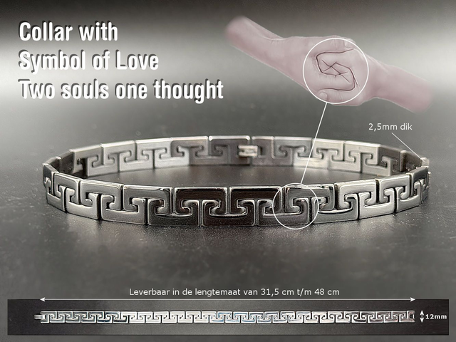 RVS Collar, Two Souls, One Thought