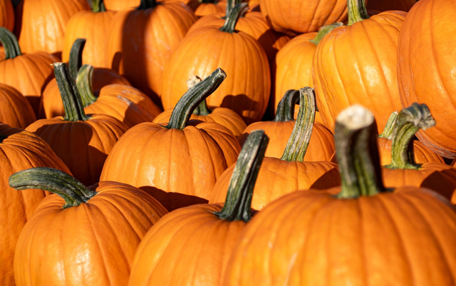 Pumpkin Spice Chai