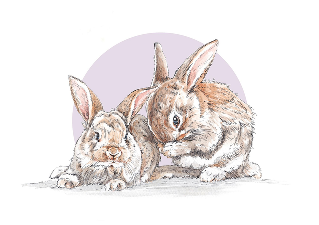 Two Bunnies Print - After an original ink and watercolour illustration 