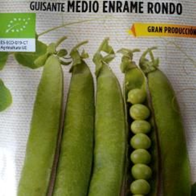 S. Guisante enrame medio