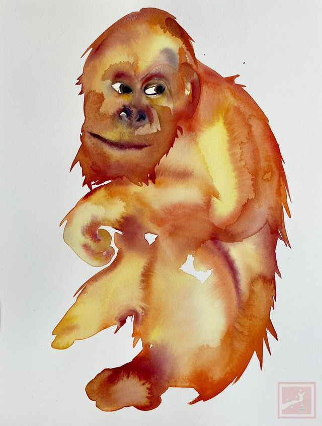 urangutan #1