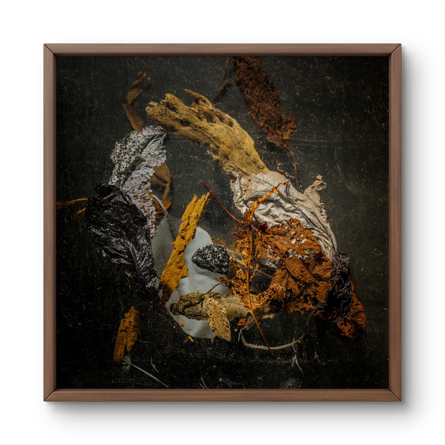 THE-FRAGILE-SHIELD  FINE ART PRINT 20X20CM 