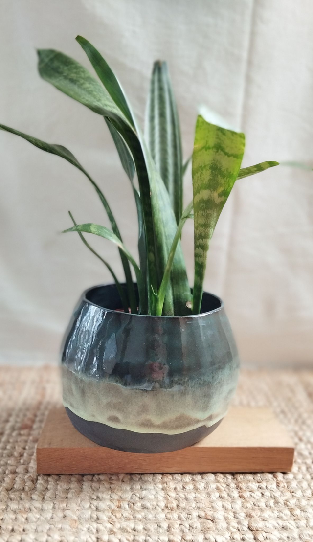 Grand cache pot, argile noir, émail bleu foncé, vert