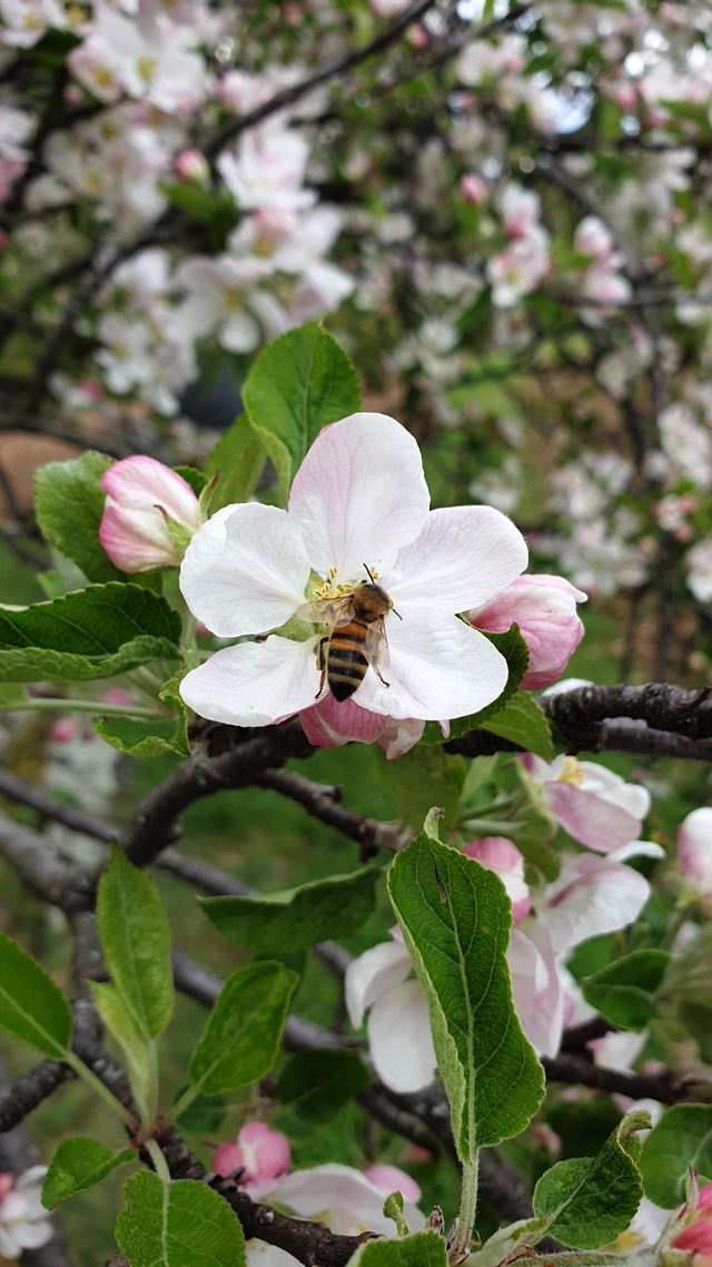 Visite enfant (de 5 à 10ans ) 