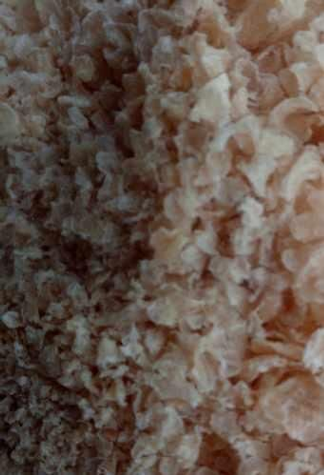 Agar agar en escamas