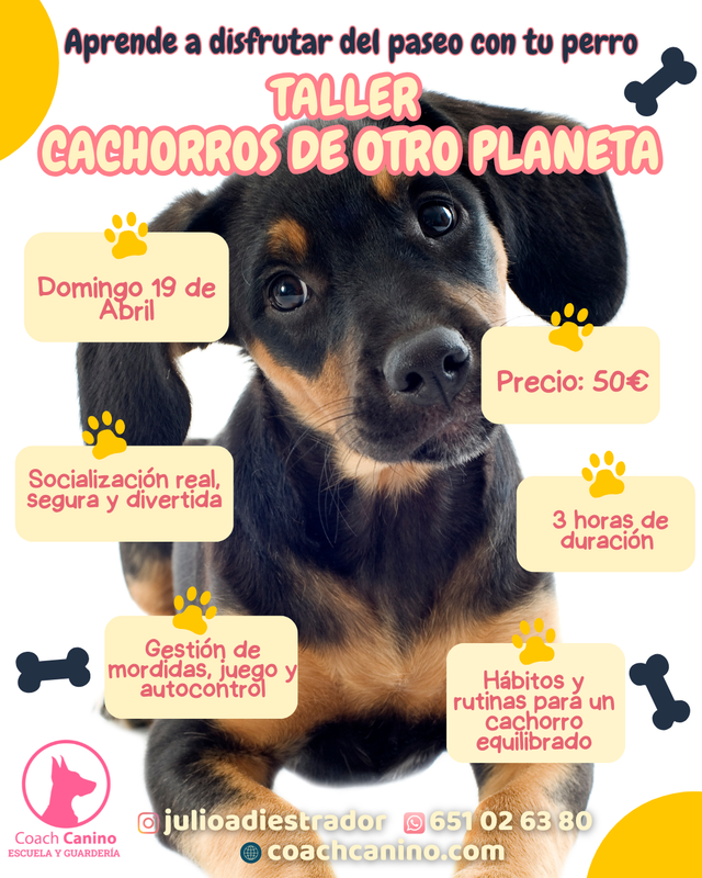 Taller Cachorros de otro planeta