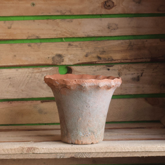 Aged Terracotta Frill Rimmed Pot