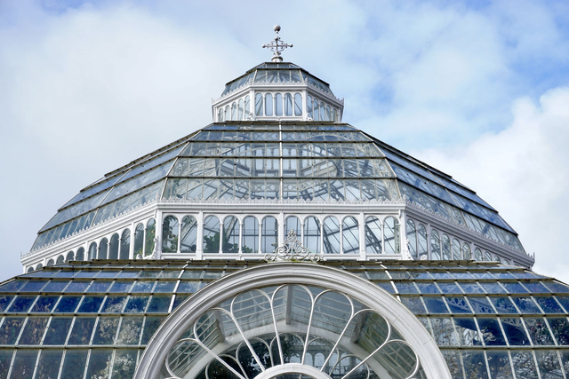 Up close at The Palm House - Print