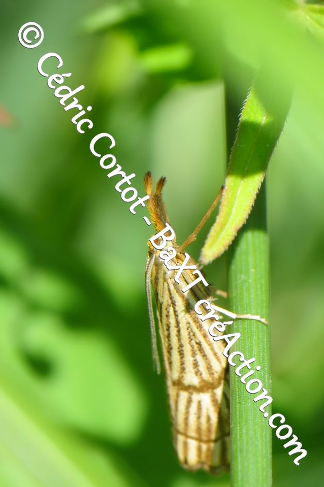 Impression sur alu dibond - Le petit monde du Vivant (ref 5845)