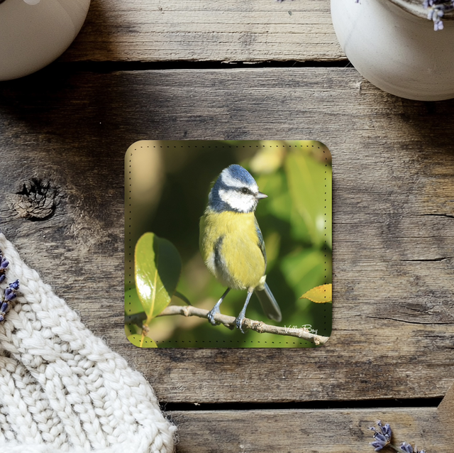 “Beatrice Blue Tit” Coaster   