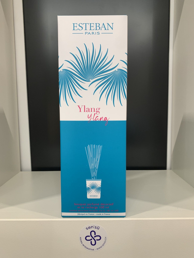 ESTEB BOUQUET PARF.DECO+RECH100ML - YLANG YLANG