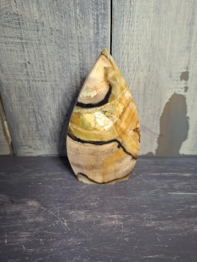 Petrified Wood Teardrop 