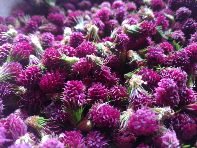 Liqueur de mélèze 40%vol - De 10 à 35cl