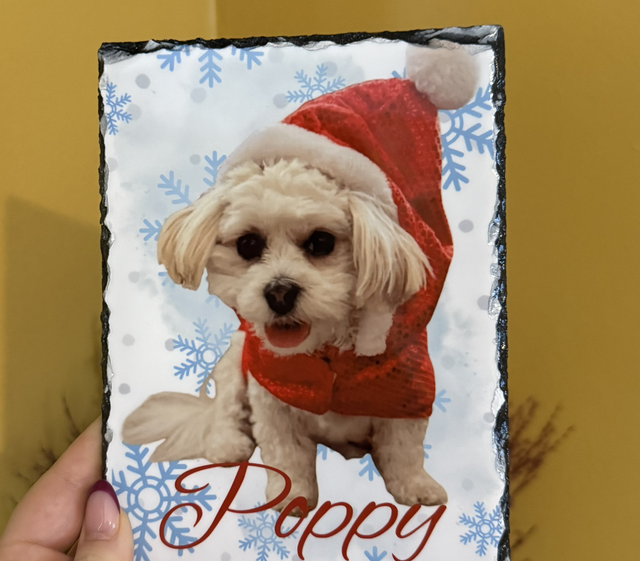 Christmas Personalised Pet Slate