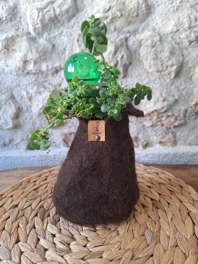 Pot fleuri - collection de deux