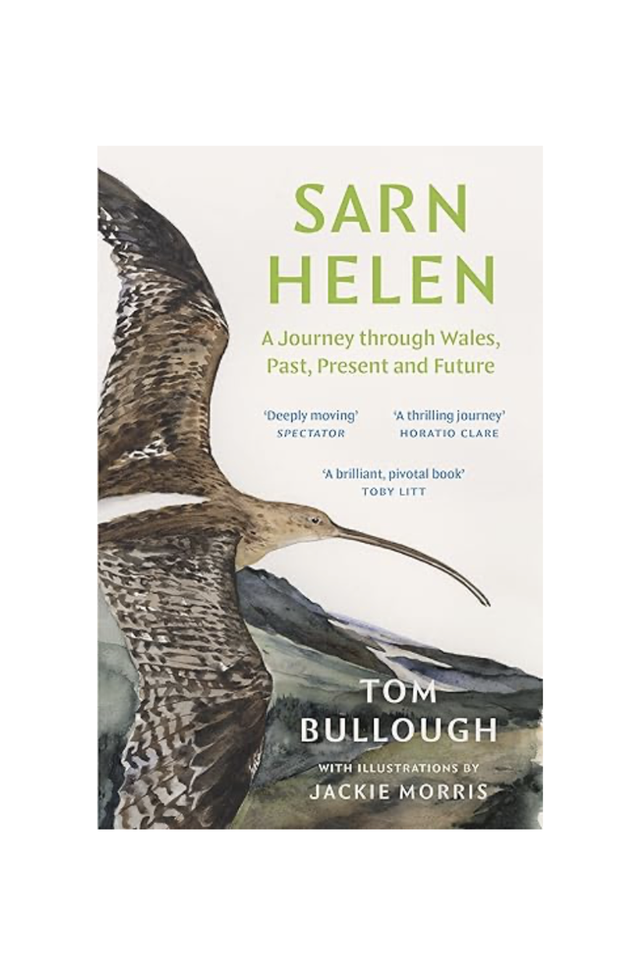 TB01 Sarn Helen by Tom Bullough - signed copy - Paperback