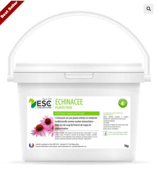 ECHINACEE – Défenses immunitaires cheval – Plante pure