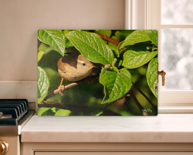 "Jenny Wren" Glass Worktop Saver   