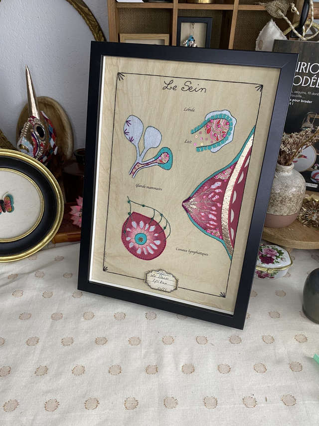 Planche anatomique sein bordeaux rose