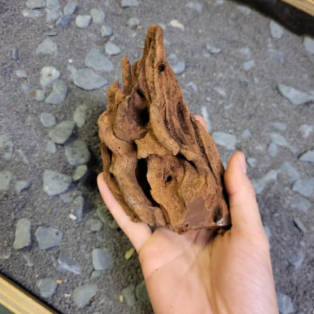 Driftwood XS 8715897031090