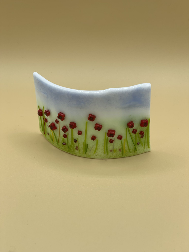 Poppy Filed - Fused Glass Curve
